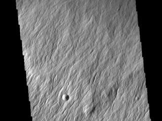 View image for Olympus Rupes