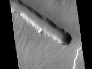 View image for Pavonis Fossae