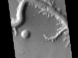 View image for Nirgal Vallis