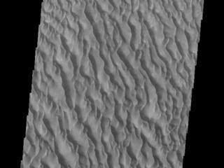 This image from NASAs Mars Odyssey shows sand dunes within Proctor Crater. These dunes are composed of basaltic sand that has collected in the bottom of the crater.