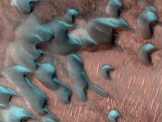 This image acquired on July 22, 2022 by NASAs Mars Reconnaissance Orbiter shows sand dunes moving across the landscape. Winter frost covers the colder, north-facing half of each dune.