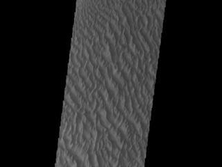 View image for Proctor Crater Dunes