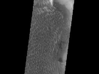 This image from NASAs Mars Odyssey shows part of the floor of Rabe Crater, including the large dune field.
