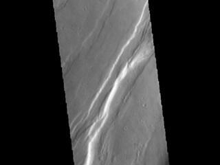 View image for Tempe Fossae