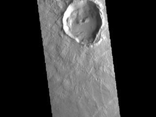 View image for Tempe Terra Craters