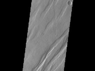 View image for Tempe Fossae